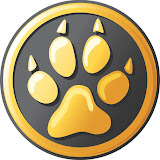 QMS Скорость интернет