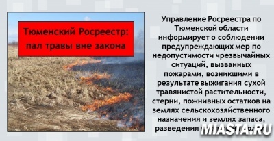 Тюменский Росреестр: пал травы вне закона