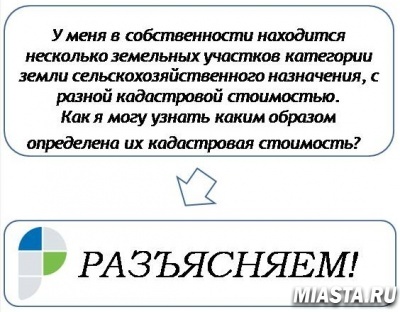 Об определении кадастровой стоимости земельных участков рассказали в тюменском Росреестре