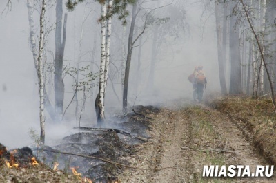 Работники, пострадавшие при тушении лесных пожаров на контроле у ФСС