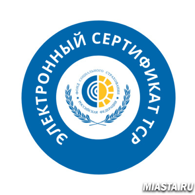 Новый способ обеспечения инвалидов - Электронный сертификат