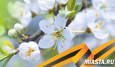 Филиал ППК «Роскадастр» по Тюменской области: график работы в праздничные дни мая