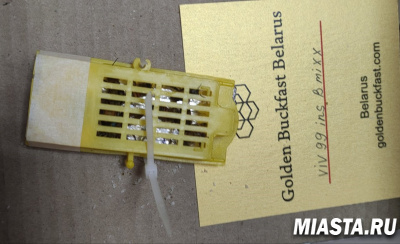 Пчеловодам Тюменской области почтой доставили первых  пчёл