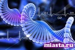 Ученые: большинство видов рака - дело случая
