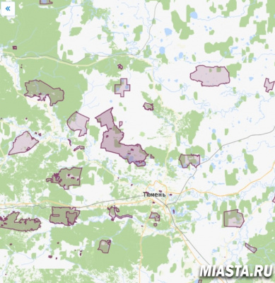 В региональном Роскадастре рассказали об особо охраняемых природных территориях Тюменской области