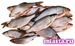 Строительство тюменского рыбного технопарка завершается