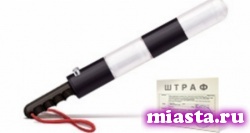 В разных регионах России могут быть введены разные штрафы