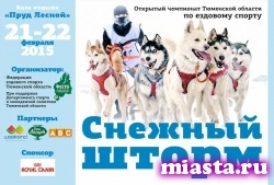 В Тюмени устроят гонки на лайках и маламутах