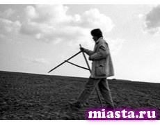 В Госдуме предлагают бесплатно раздать гражданам по гектару земли