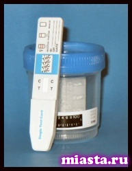 Водителей автобусов и полицейских обязали сдавать тесты на наркотики