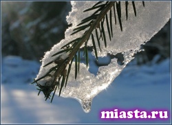 Февраль в Тюмени будет не по-зимнему теплым