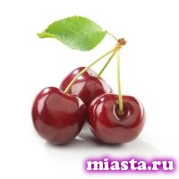 Найден простой способ защитить организм от болезней