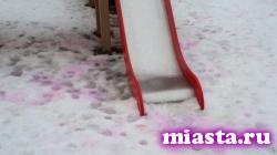 Тюменских собак травят розовым снегом