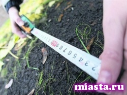 Многодетным семьям с инвалидами земля будет предоставляться быстрее