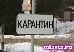 Из-за карантина в Тюмени отменены культурно-массовые мероприятия