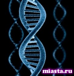 Сибирские генетики научились определять место рождения человека по ДНК