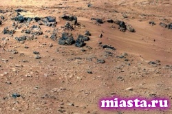 На Марсе обнаружили череп травоядного динозавра