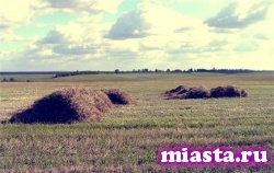 Как изменится жизнь россиян в марте: 6 вещей, о которых стоит знать.