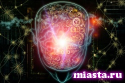 В мозге человека обнаружен уникальный ген