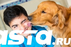 Ученые: Поцелуи с собаками укрепляют иммунитет