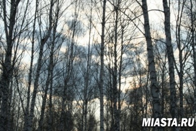 Илларион начинает распутицу