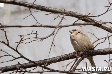 Пришло время жечь рухлядь