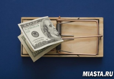 Бесплатный сыр в стажировке