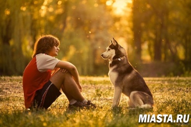 Ученые: Собаки "приручили" человека глазами