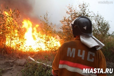 С 20 апреля в Тюменской области начинается пожароопасный период