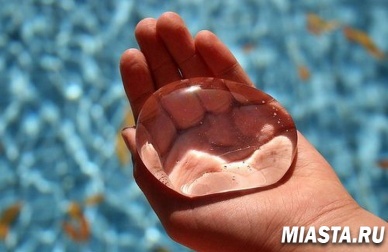 Тюменские школьники станут Хранителями воды