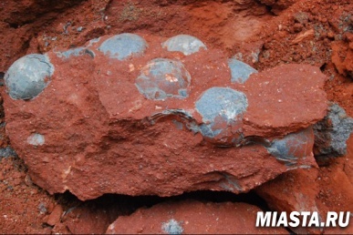 В Китае рабочие обнаружили крупную кладку яиц динозавра