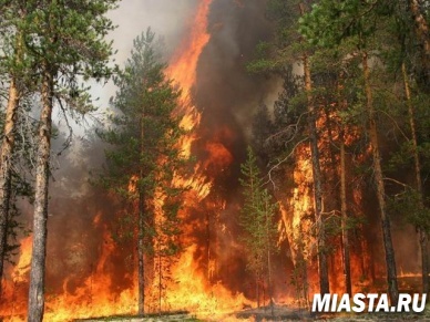 Штраф за нарушение правил пожарной безопасности увеличен