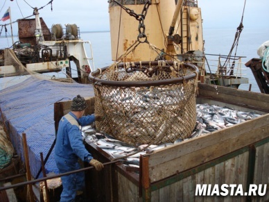 Российским рыбакам разрешили промышлять в Мировом океане