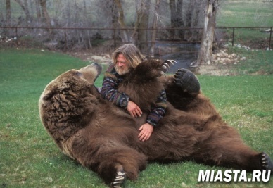 В Уватском районе медведь вышел в рабочий посёлок