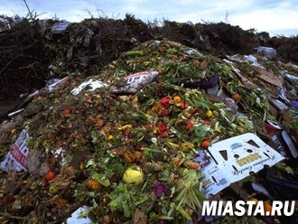 Российским супермаркетам могут запретить уничтожать непроданную еду