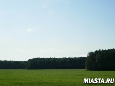 По народному календарю – день Никиты Гусятника, день Евтихия