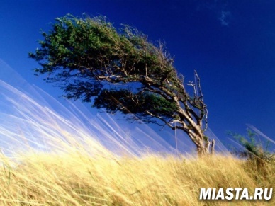 Всемирный день ветра