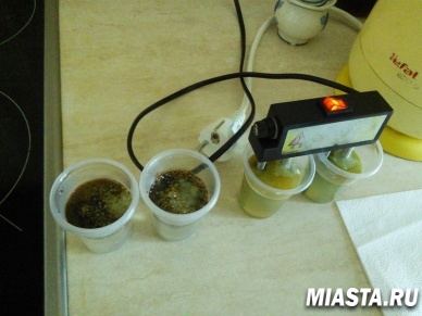 ТОП-5 схем обмана тюменцев