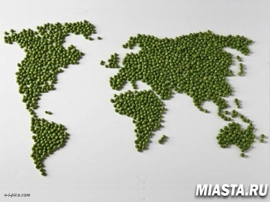 10-летнего мальчика оштрафовали за роман с замужней женщиной