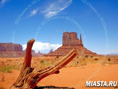 Американка неделю просидела в застрявшей машине в компании мертвого мужа