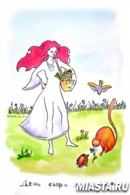 21 августа - День сбора диких трав