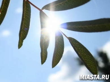 Ясная погода месяц продержится