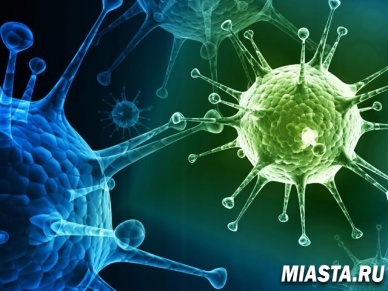 Ученые обнаружили в Сибири гигантский вирус