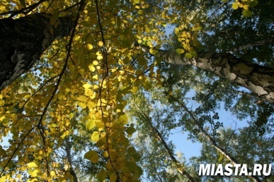 Приборка рухляди сулит благополучие на осень