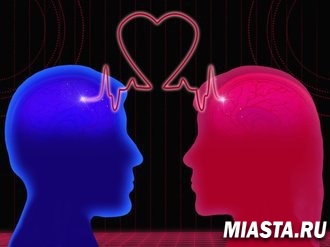 Ученые узнали, как любовь действует на мозг человека