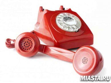 О платных допуслугах в школах расскажут на «горячей линии»