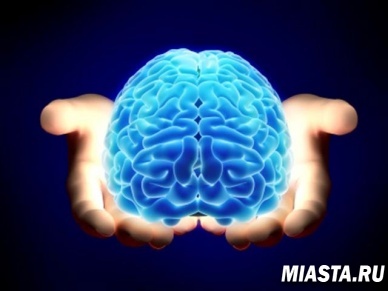 Ученые рассказали, от чего зависит уровень интеллекта