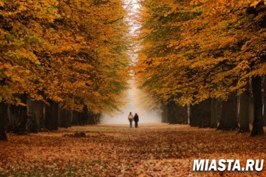 День осенних миражей