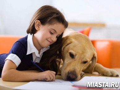 Ученые: Домашние животные снижают риск астмы у детей