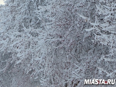 Сегодня родятся кузнецы и художники